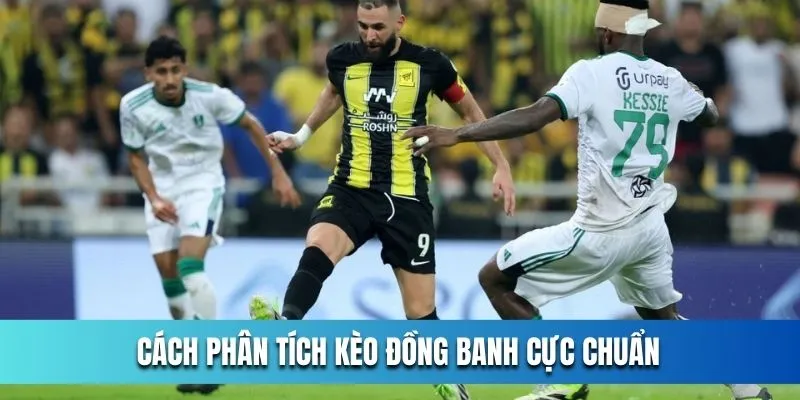 Cach-phan-tich-keo-dong-banh-cuc-chuan_11zon