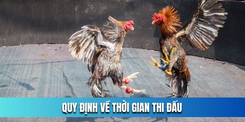 Quy-dinh-ve-thoi-gian-thi-dau-cua-choi-ga-cua-sat