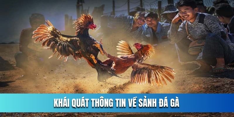 khai-quat-thong-tin-ve-da-ga-ok365